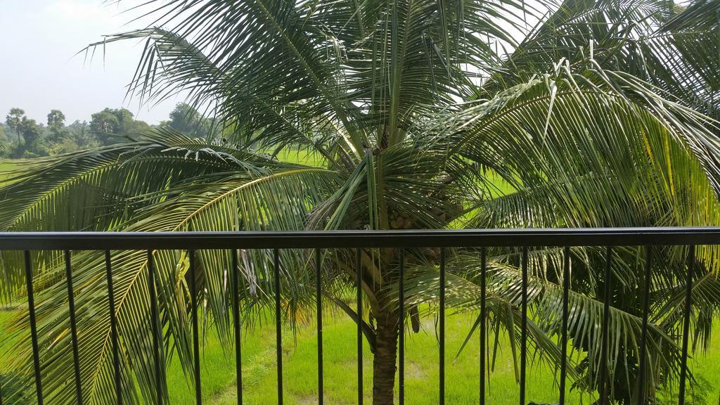 Serene View Tourist Rest Hotel Anuradhapura Kültér fotó